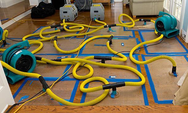 Professional Sewage Cleanup technician working in Needles, CA